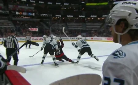 Senators’ Cousins Fined for Misleading Embellishments