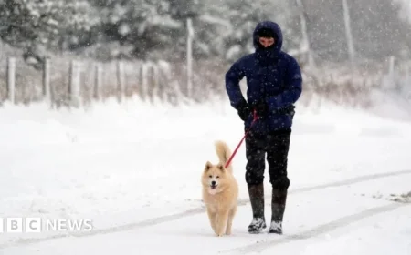 UK Braces for Icy Conditions as Cold Snap Hits