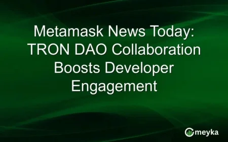 TRON DAO Collaboration Enhances Developer Engagement on Metamask