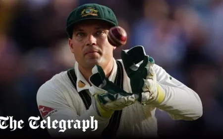 Barmy Army Fans Gear Up to Target Alex Carey Despite Boo Ban