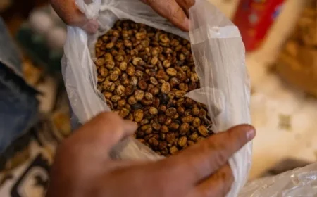 White House Reduces Tariffs on Additional Brazilian Imports