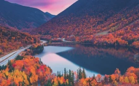 82 Million Americans Expected to Travel During Thanksgiving