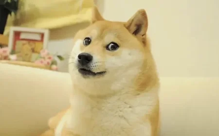 21Shares Unveils Leveraged Dogecoin ETF After Completing FalconX Acquisition