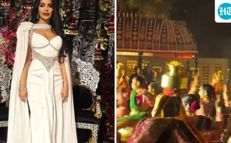 Canadian Politician Offers Glimpses of Lavish Indian Wedding Festivities in Udaipur