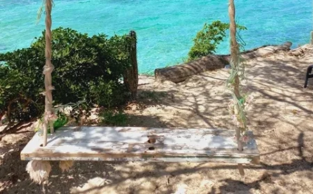 Paradise Awaits: Swing into Aruba’s Beauty with Caribbean Photo of the Week