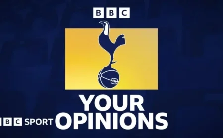 Tottenham Supporters Discuss Brennan Johnson’s Performance