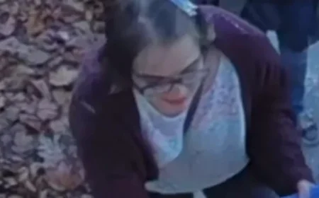 Slender Man Case Convict Flees Group Home, Ditches Monitoring Bracelet