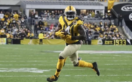 DK Metcalf Injury Update: Steelers WR’s Week 12 Game Status Revealed