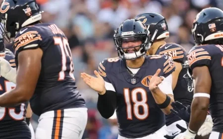 Steelers vs. Bears: Week 12 NFL Predictions, Picks, and Odds