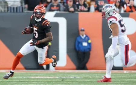 Bengals’ Higgins Suffers Concussion from Turf Impact