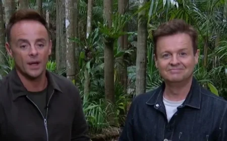 Dec Confronts Ant Over Alleged ITV Campmate Feud on I’m A Celebrity