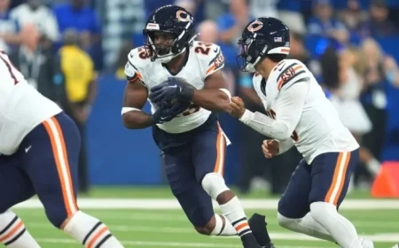 Bears Place RB Johnson, LB Edmunds on Injured Reserve