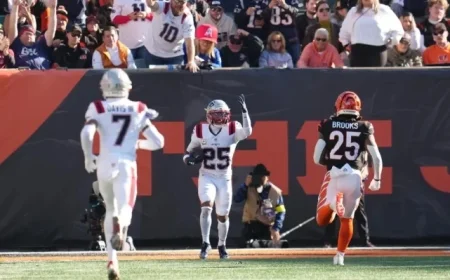 Patriots Triumph 26-20 Over Bengals: NFL Week 12 Analysis