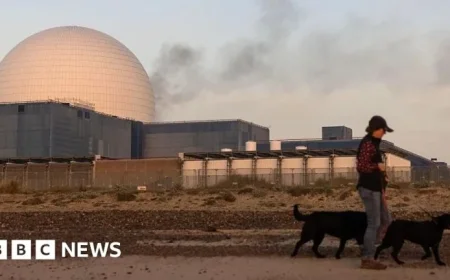 UK Ranks as World’s Priciest for Nuclear Power Development