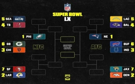 NFL Playoff Bracket 2025-26: Updated AFC, NFC Standings Post Week 12 SNF