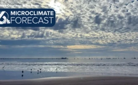 Warmer Temperatures Expected This Week