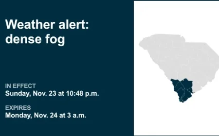 Dense Fog to Blanket Lowcountry Until 3 a.m. Monday