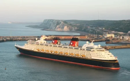 73-Year-Old Missing After Falling Overboard on Disney Cruise