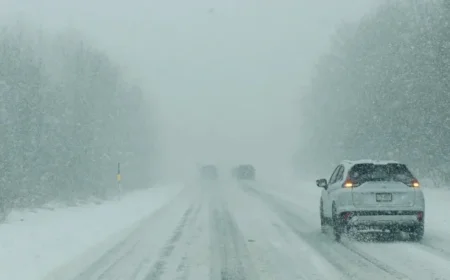 12-Inch Snowfall Prompts Winter Storm Alert