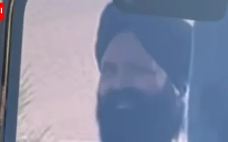 Indian Grandfather Harasses Teens in Canada, Faces Deportation After Visiting Family