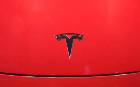 Tesla China’s Sales Plummet to Multi-Year Low