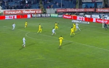 FC Botoșani vs Dinamo: Live Streaming at 20:30 on Digi Sport 1