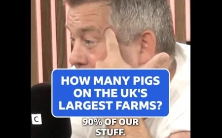 NPA Files Complaint Against BBC for Misleading Pig Farm Size Clip