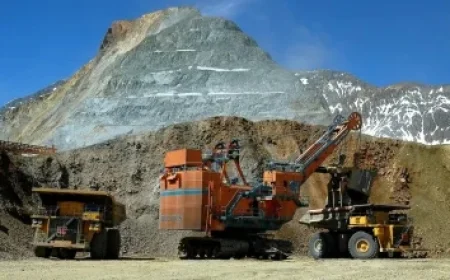 “Vandalizing Oceans: Alarming Rise in Marine Life Destruction”