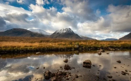 November Snow: Are More Flurries on the Horizon?