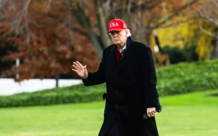 Trump Amplifies Overseas MAGA X Accounts