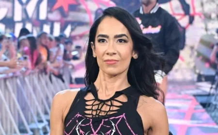 AJ Lee and Stephanie McMahon Tackle Controversial Social Media Dispute