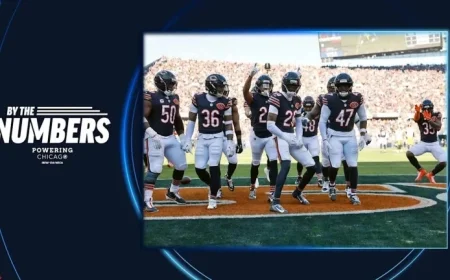 Bears Triumph Over Steelers in Week 12 Victory