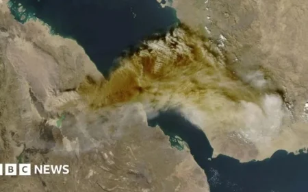 Ethiopian Volcano Eruption Disrupts Delhi Flights with Ash Fallout