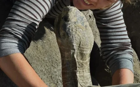 Centenarian Tortoise Gramma Passes Away at San Diego Zoo