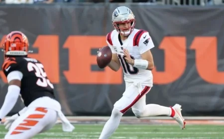 Week 12 Results Reshape NFL Playoff Standings