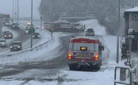 Calgary Snowstorm: Flights Delayed, Buses Rerouted, Collisions Surge