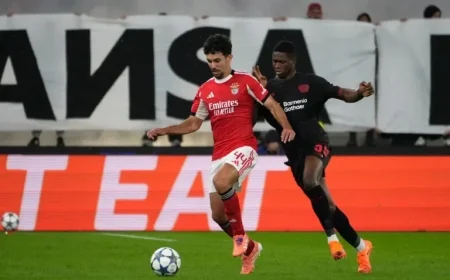 Stream Ajax vs. Benfica Champions League Match Free Today