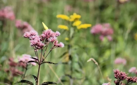 ‘Leave it to Beaver’ Actor Passes Away at 76