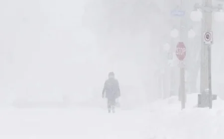 Weather Alert: Brace for 30-50cm Snowfall and Strong Winds