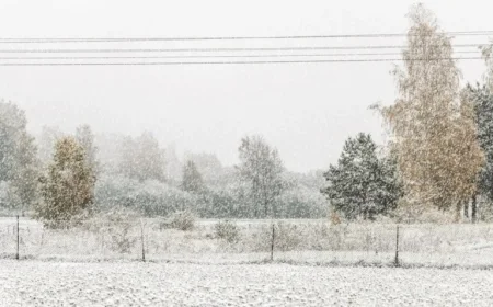 Ontario Faces Snow Squall Watch Issued by Meteorologists