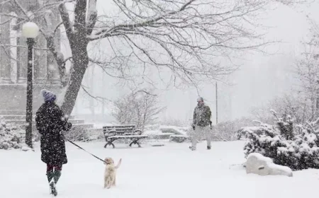 Waterloo Region, Guelph, Wellington County to Receive 50 cm Snowfall