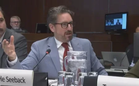 Stellantis Absence Leaves MPs Speechless Amid Hearing Technical Issues