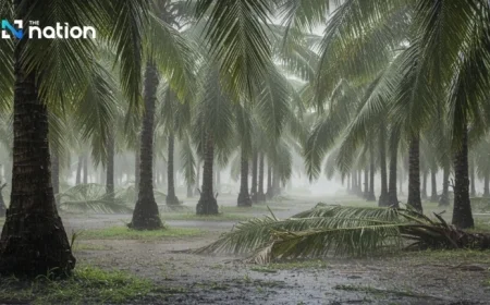 Alert: Heavy Rain Persists in South; Northern Temperatures Fall 2–4°C