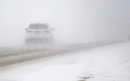 Blizzard Warnings Issued as Snowstorm Brings Whiteout Conditions at Thanksgiving
