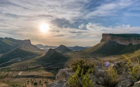 Murcia’s Wine Potential: What It Offers UK Buyers