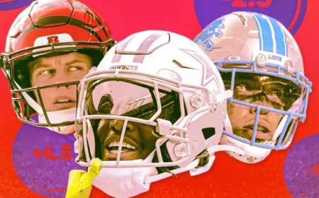 Top NFL Betting Picks for Week 13