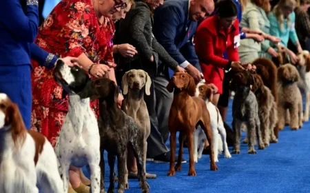 2025 National Dog Show: Complete Group-Wise Breed List