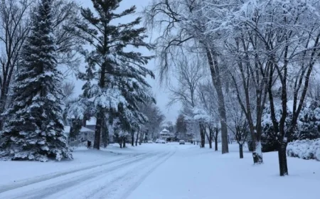 Minnesota Snowfall Totals Revealed by Weather Watchers – MPR News
