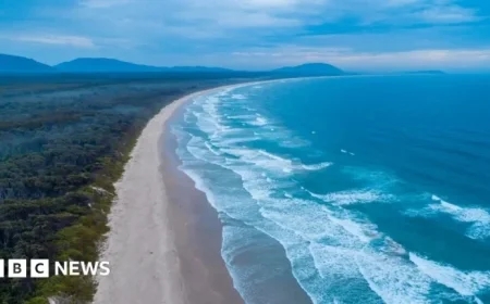 Fatal Shark Attack in New South Wales: Woman Killed, Man Injured