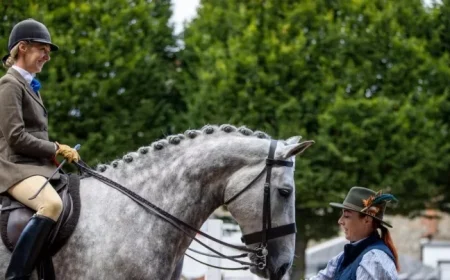 RDS Members Oppose Using Laya Arena Name for Showgrounds